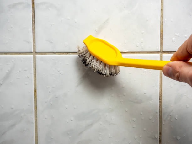 Best Fast Mold Removal  in Calumet, PA