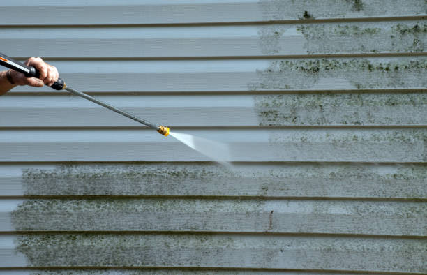 Mold Removal Process in Calumet, PA
