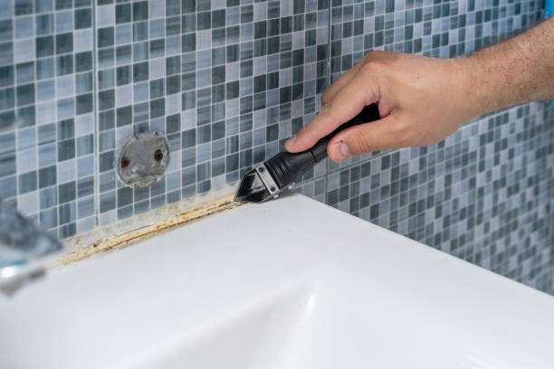 Best Certified Mold Removal  in Calumet, PA